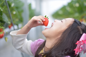 食べる　大きなお口　女の子